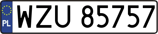 WZU85757
