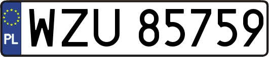 WZU85759