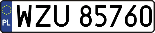 WZU85760