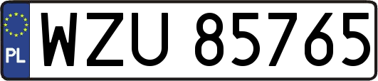 WZU85765