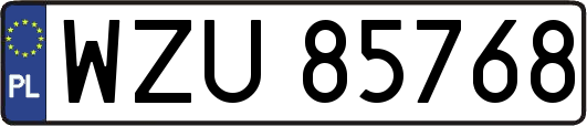 WZU85768
