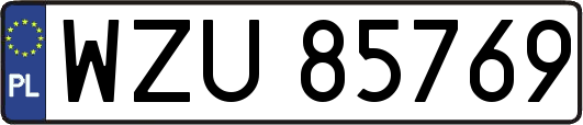 WZU85769