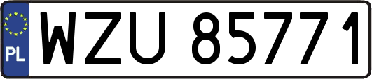 WZU85771