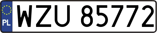 WZU85772