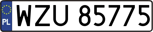 WZU85775