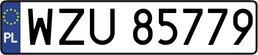 WZU85779