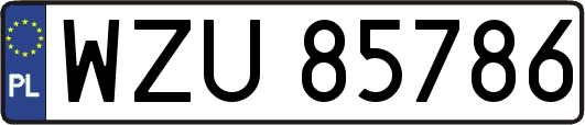WZU85786