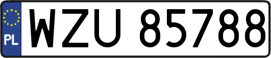 WZU85788