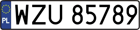 WZU85789