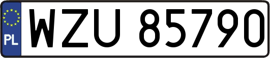 WZU85790