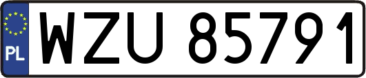 WZU85791