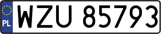 WZU85793