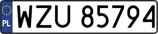 WZU85794