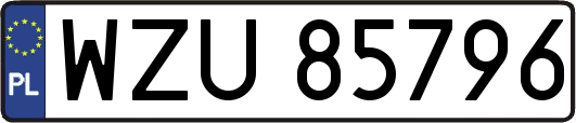 WZU85796