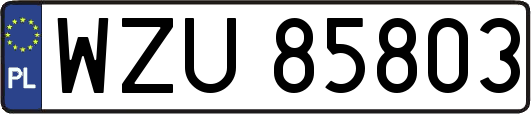 WZU85803