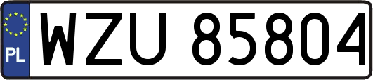 WZU85804