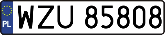 WZU85808