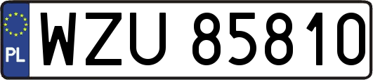 WZU85810