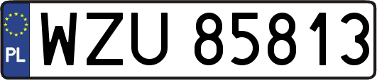 WZU85813