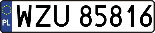 WZU85816