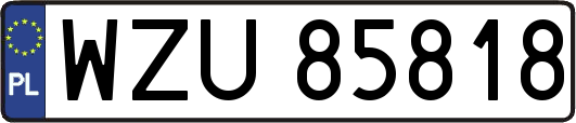 WZU85818