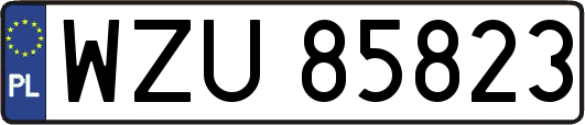 WZU85823