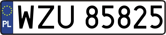 WZU85825