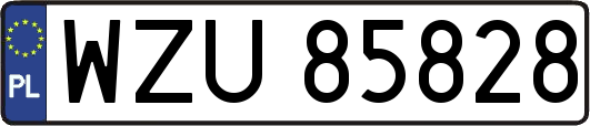 WZU85828