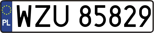 WZU85829