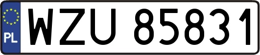 WZU85831