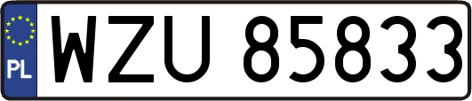 WZU85833