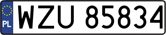 WZU85834