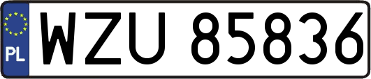 WZU85836