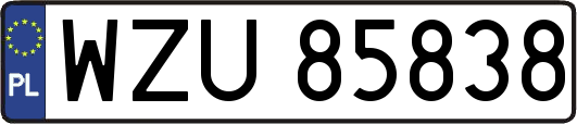 WZU85838