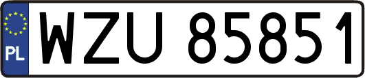 WZU85851