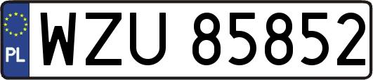 WZU85852