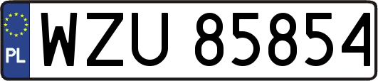 WZU85854