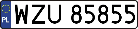 WZU85855
