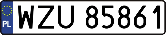 WZU85861