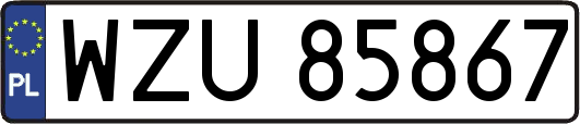 WZU85867