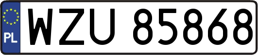 WZU85868