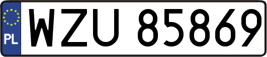 WZU85869