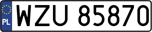 WZU85870