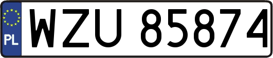 WZU85874