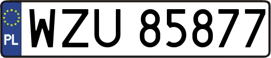 WZU85877