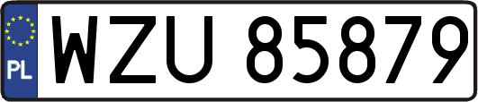 WZU85879