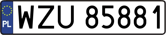 WZU85881