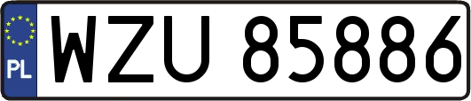 WZU85886