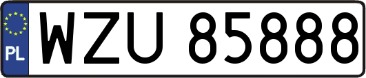 WZU85888