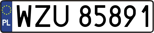 WZU85891